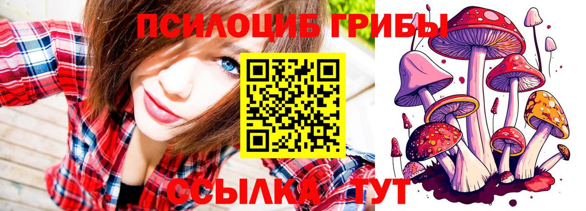 Знаменск  Псилоцибиновые грибы мухоморы  Вход с VPN  Галлюциногенные грибы Psilocybe 