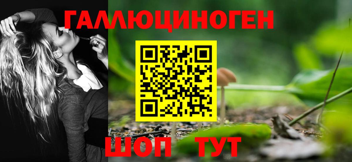 Псилоцибиновые грибы Psilocybine cubensis Знаменск